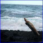 Click to enlarge image