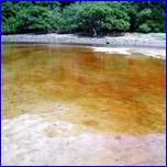 Click to enlarge image