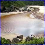 Click to enlarge image