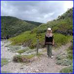 Click to enlarge image