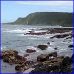 Click to enlarge image