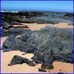 Click to enlarge image