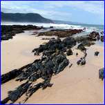 Click to enlarge image