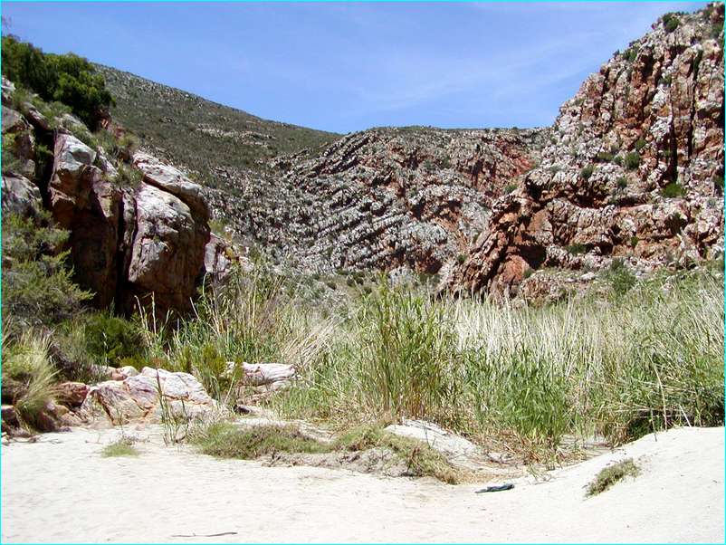 P2040035