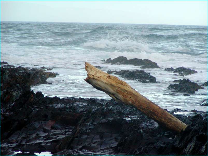 P2090230