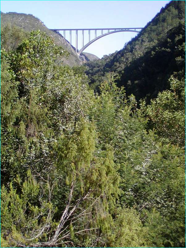 P2100029