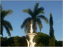 Click to enlarge Jamaican Photo