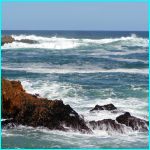 Click to Enlarge South African Photo]