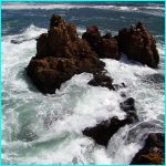 Click to Enlarge South African Photo]