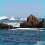 Click to Enlarge South African Photo]