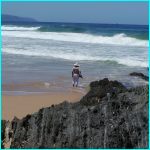 Click to Enlarge South African Photo]