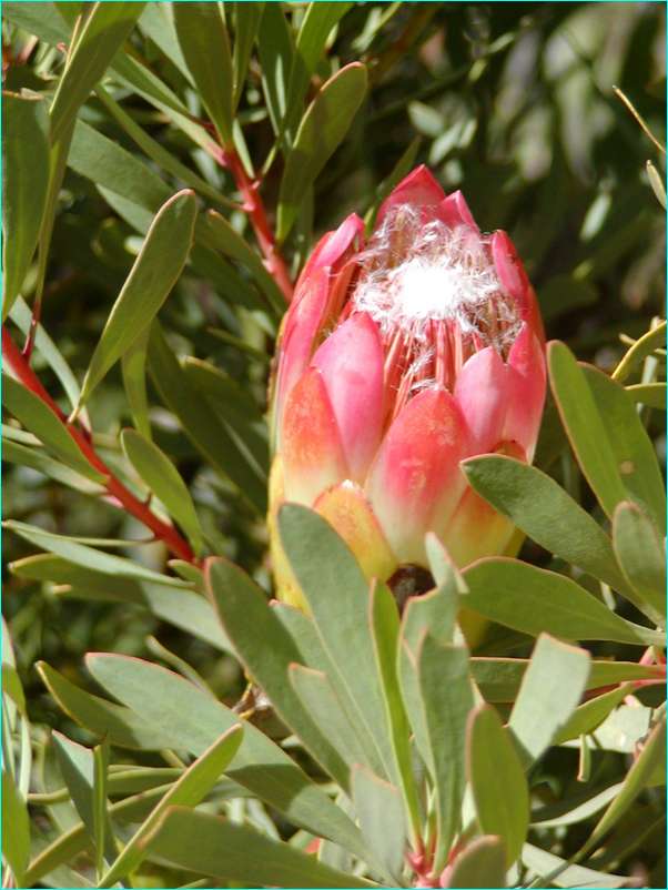 P2070188