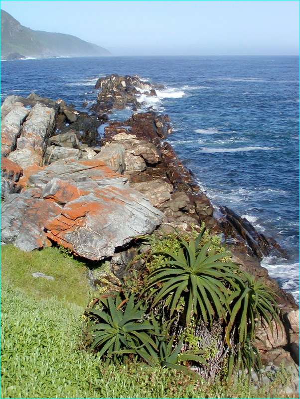 P2100033